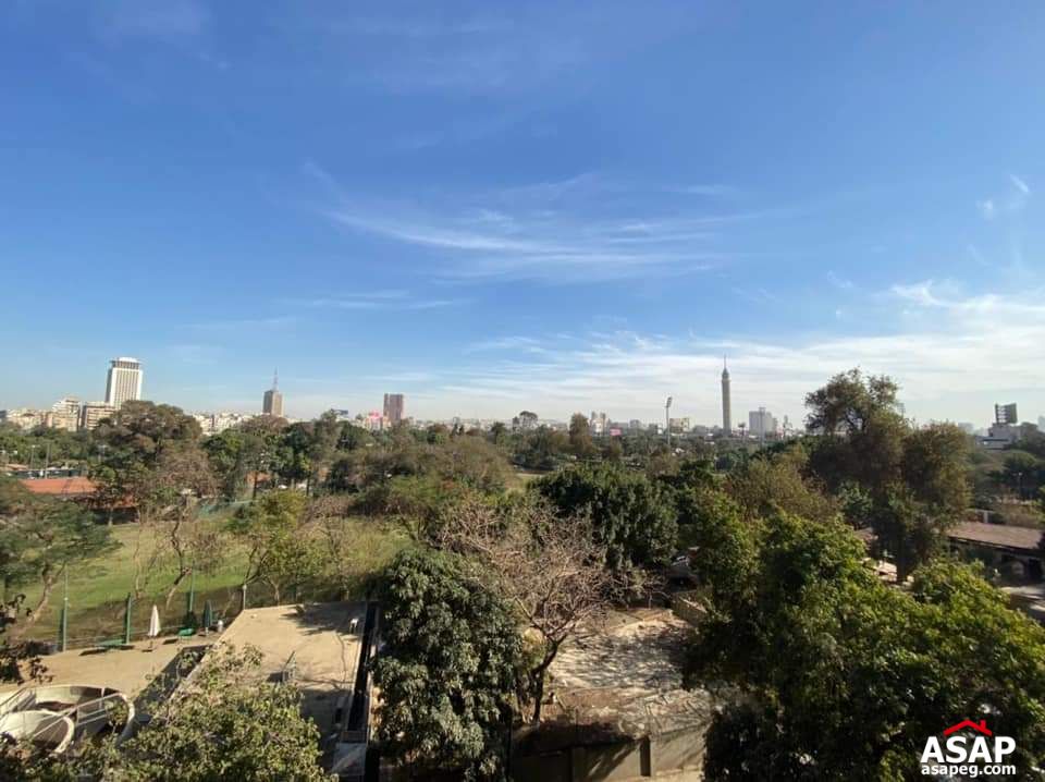 Big Apartment for Rent in Zamalek Big Apartment for Rent in Zamalek