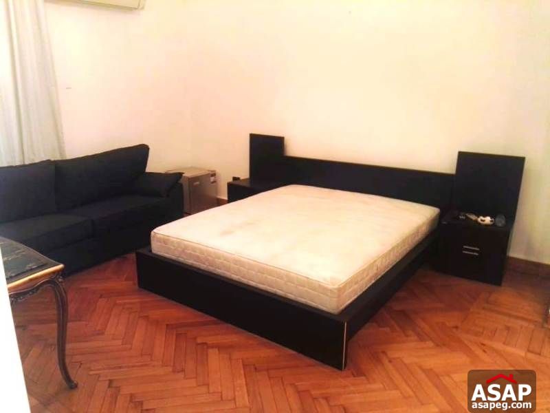 Apartment with Big Roof for Rent in Zamalek Apartment with Big Roof for Rent in Zamalek