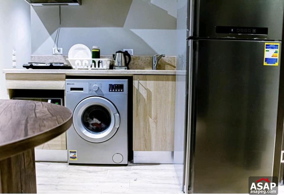 Furnished Flat for Rent in Zamalek Furnished Flat for Rent in Zamalek