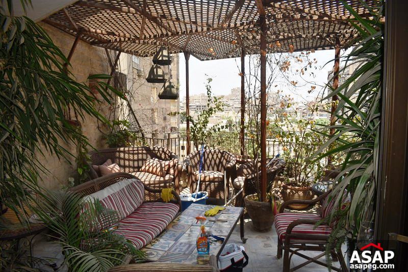 Furnished Apartment with Big Terrace for Rent in Zamalek Furnished Apartment with Big Terrace for Rent in Zamalek