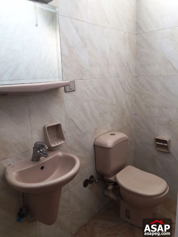 Apartment with Big Terrace in Zamalek Apartment with Big Terrace in Zamalek