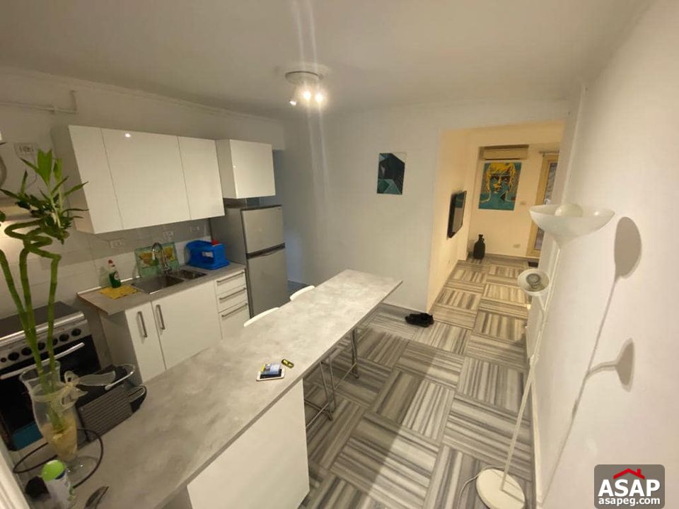 Furnished Apartment for Rent in Zamalek