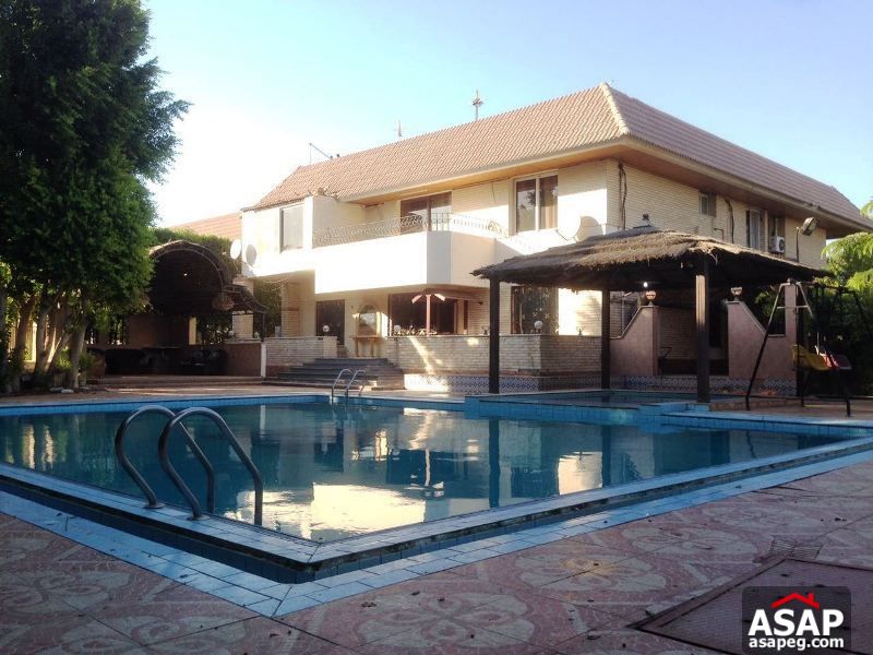 Villa for Rent in Sheikh Zayed Villa for Rent in Sheikh Zayed