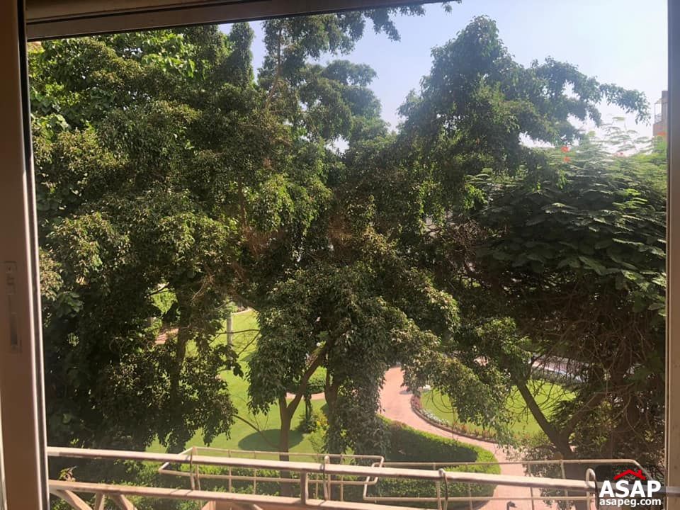 Apartment for Rent in Zamalek Apartment for Rent in Zamalek