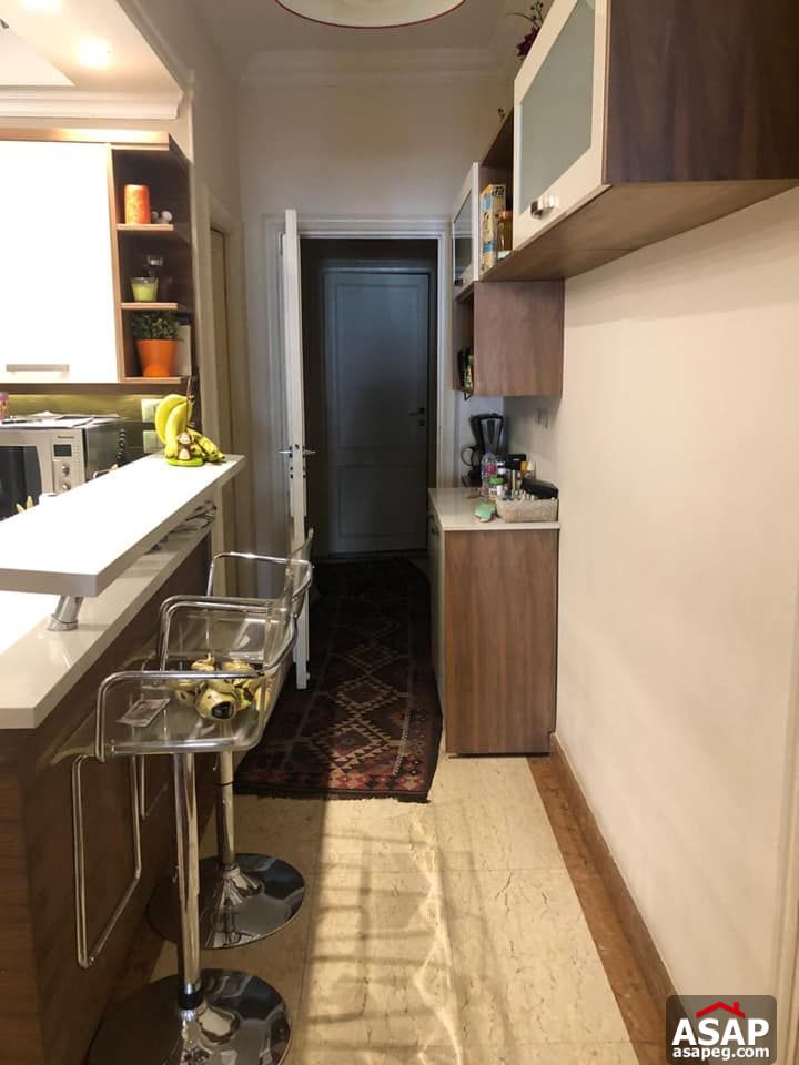 Apartment for Rent in Zamalek Apartment for Rent in Zamalek