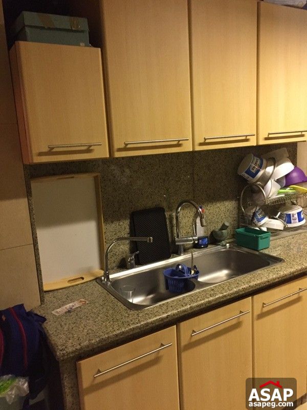 Apartment with Nile View for Sale in Zamalek Apartment with Nile View for Sale in Zamalek