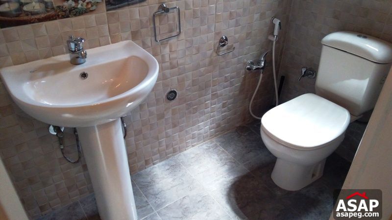 Apartment for rent in zamalek