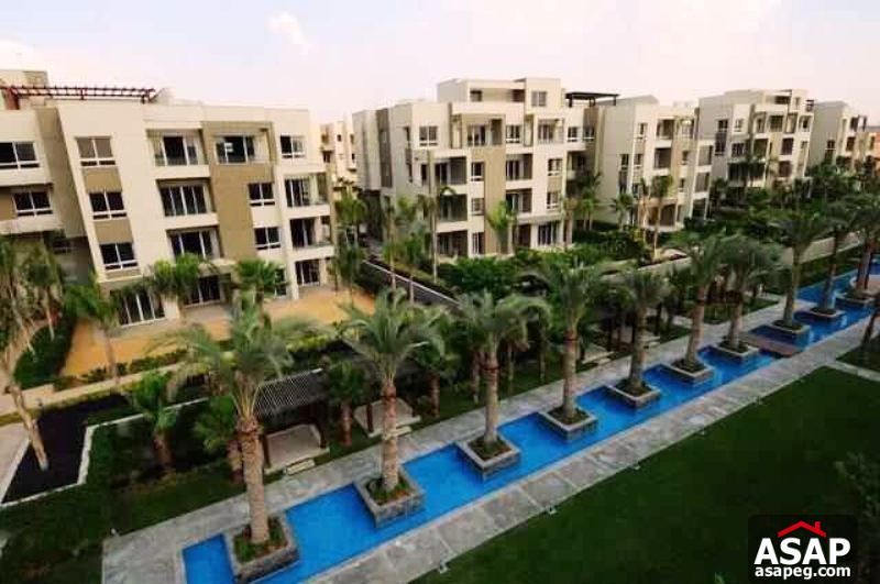 Apartment for Rent in Park View Apartment for Rent in Park View