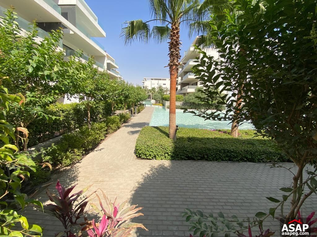 Apartment with Swimming Pool for Rent in Lake View Residence Apartment with Swimming Pool for Rent in Lake View Residence