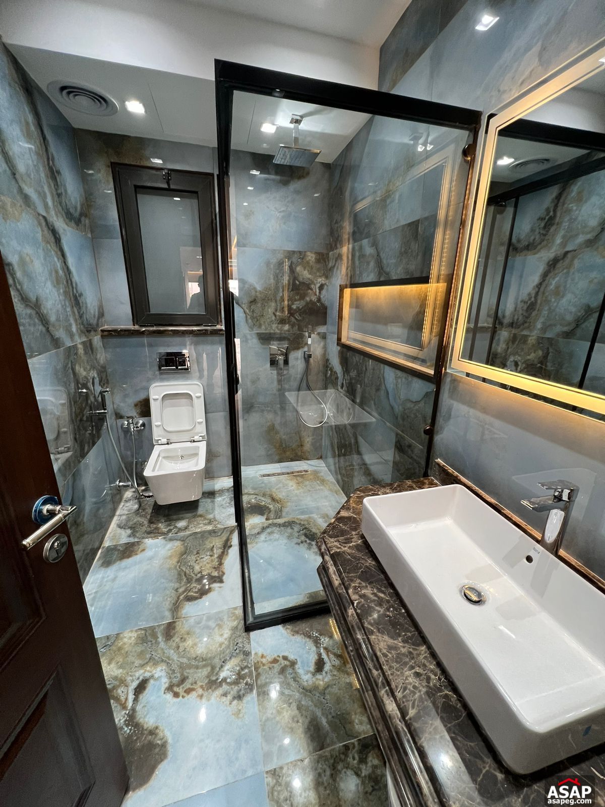 Apartment with Private Pool for Rent in Lake View Residence Apartment with Private Pool for Rent in Lake View Residence