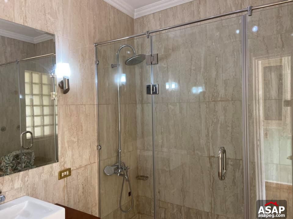 Apartment for Rent in Zamalek Apartment for Rent in Zamalek