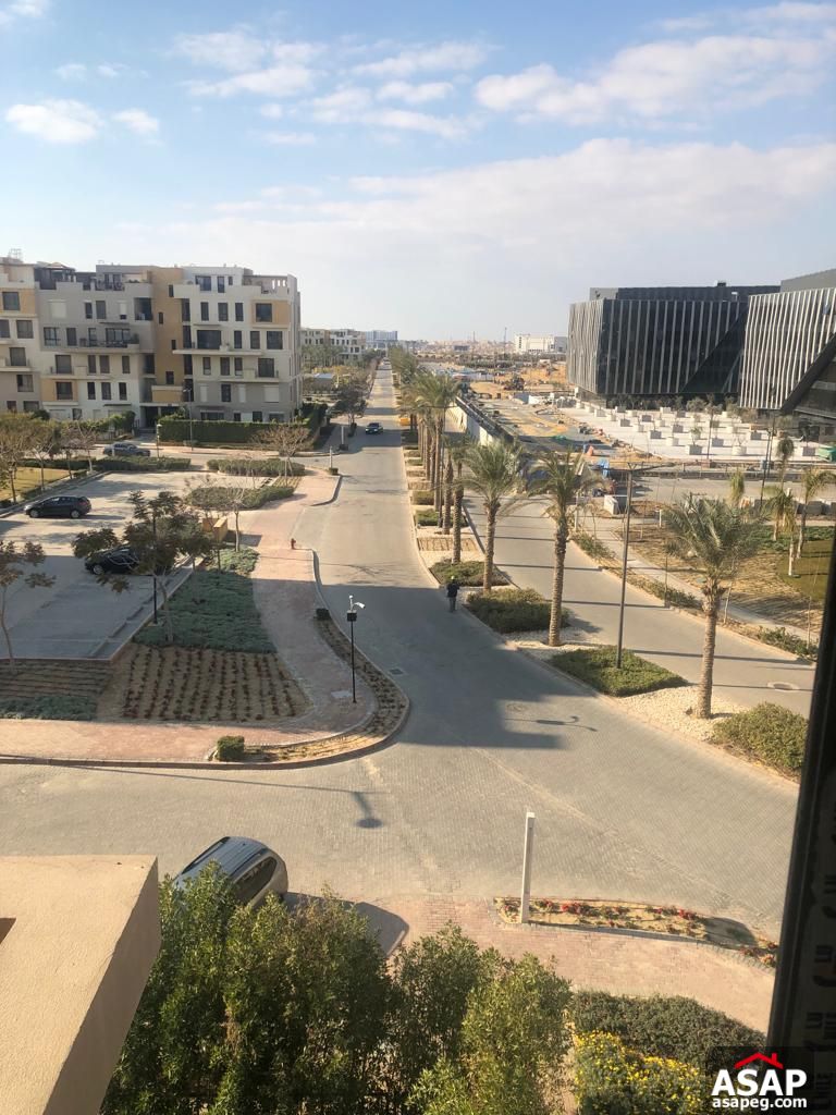 Apartment for Rent in Eastown