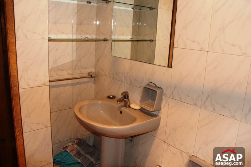 Apartment for rent in zamalek
