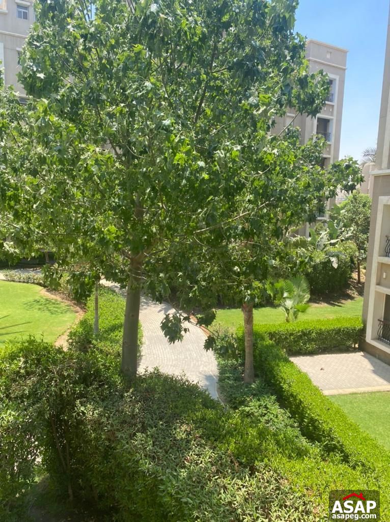 Apartment for Rent in Katameya Plaza