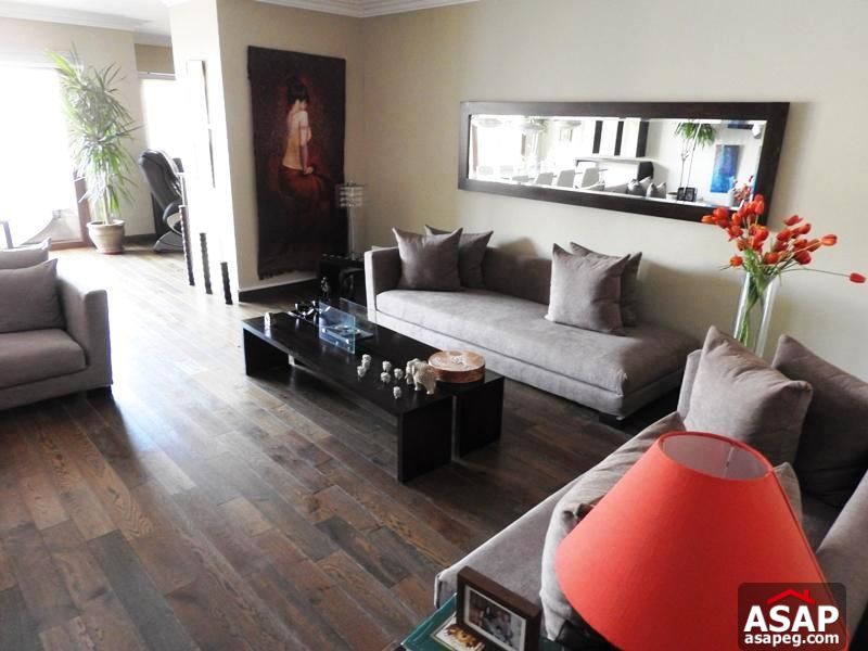 Penthouse with Swimming Pool in Sarayat El Maadi Penthouse with Swimming Pool in Sarayat El Maadi