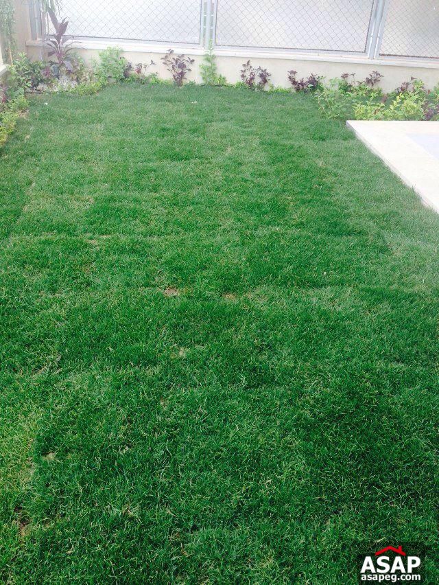 Studio with Garden for Rent in Village Gate Compound Studio with Garden for Rent in Village Gate Compound