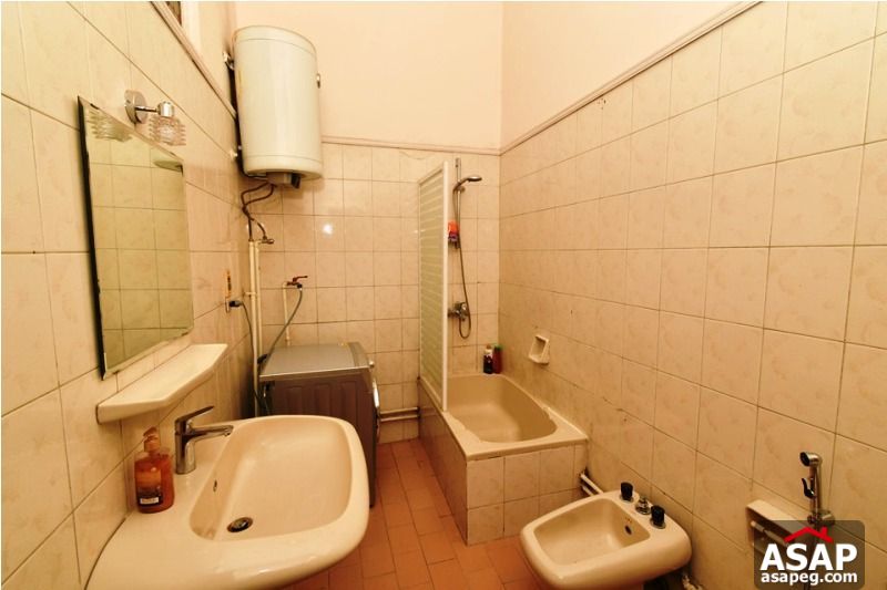 Apartment for Rent in Zamalek Apartment for Rent in Zamalek