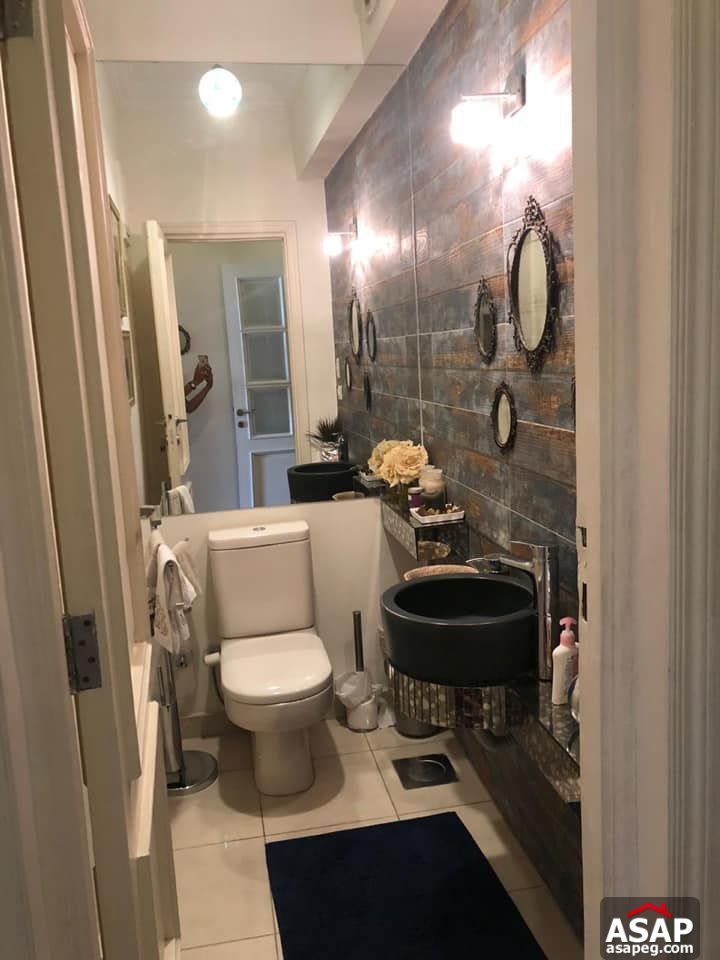 Apartment for Rent in Zamalek Apartment for Rent in Zamalek