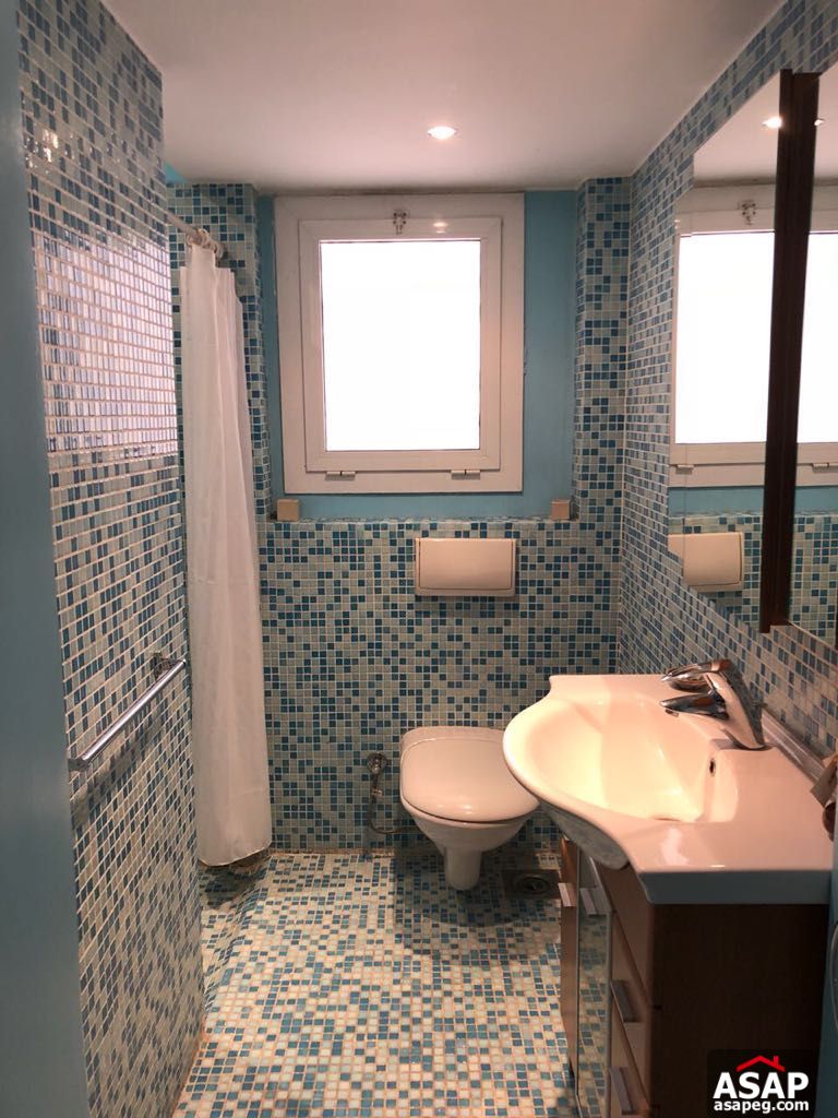 Furnished Apartment for Rent in Zamalek Furnished Apartment for Rent in Zamalek