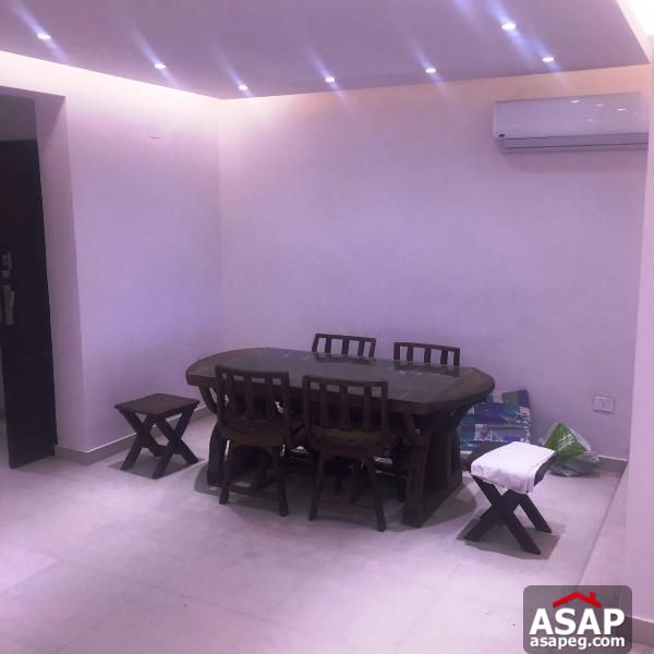 Furnished Apartment in Zamalek Furnished Apartment in Zamalek