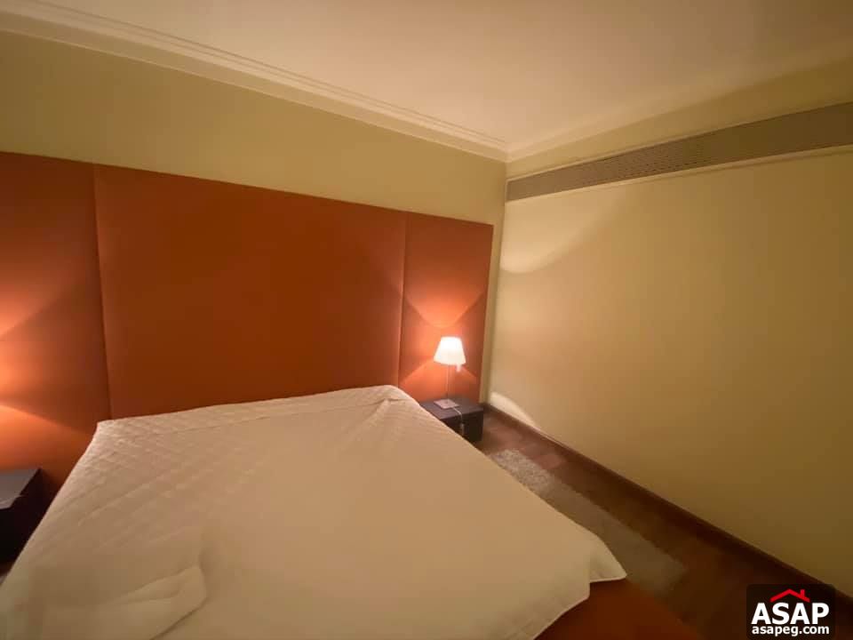 Furnished Flat with Nile View in Zamalek Furnished Flat with Nile View in Zamalek