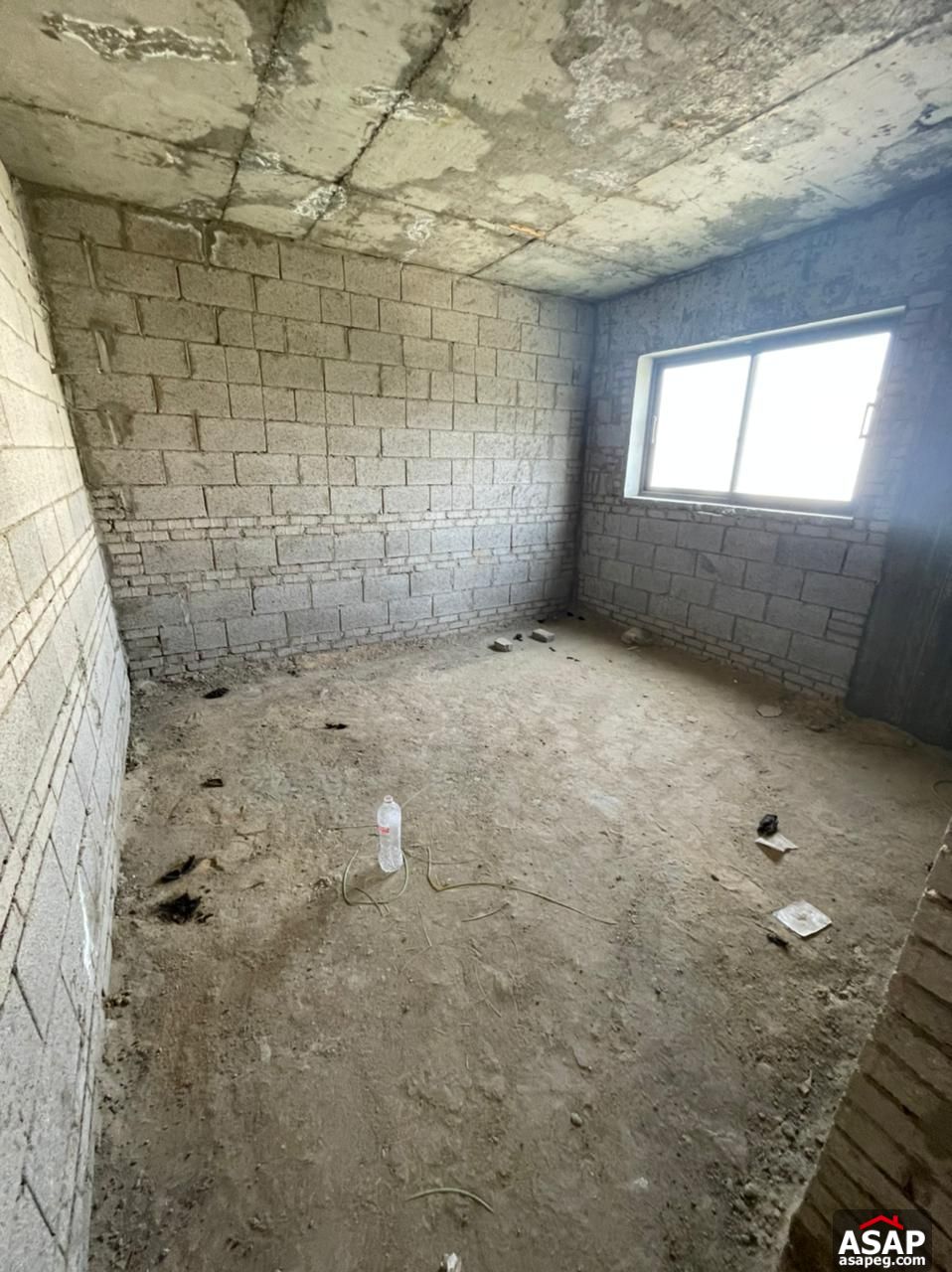 Penthouse with Pool for Sale in Lake View Residence Penthouse with Pool for Sale in Lake View Residence