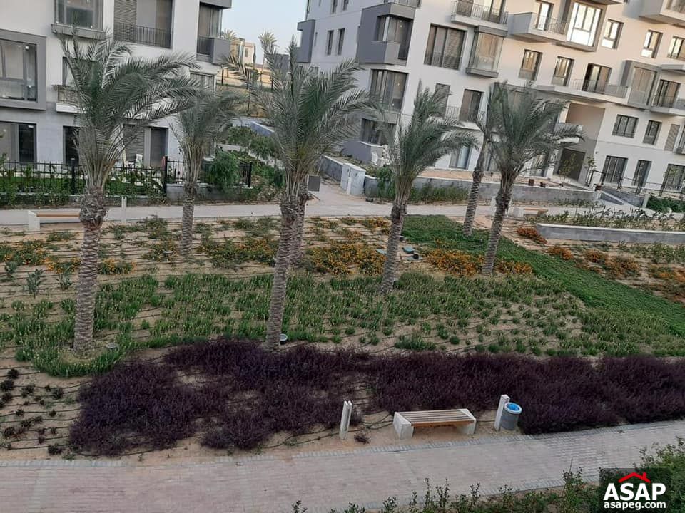 Apartment with Amazing View for Rent in Eastown