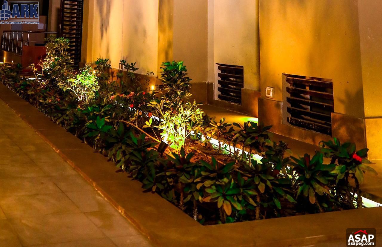 Villa for Rent in CFC Compound Villa for Rent in CFC Compound