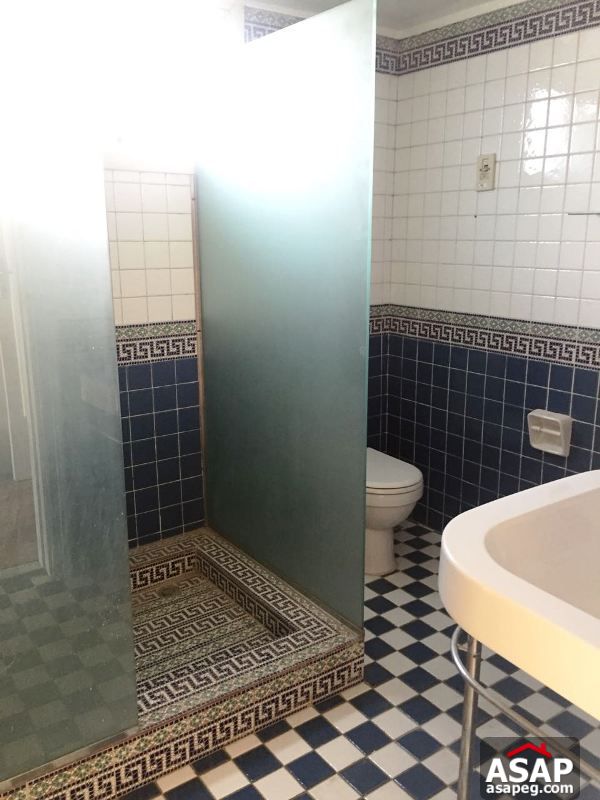 Flat with Balcony in Zamalek for Rent