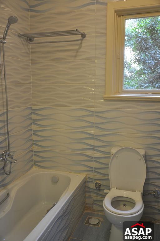 Apartment for Rent in Dokki Apartment for Rent in Dokki