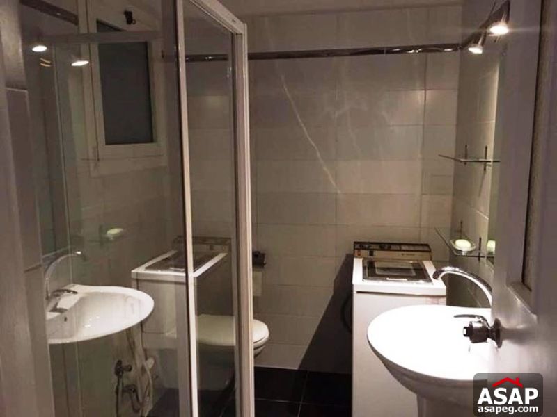 apartment for rent in zamalek apartment for rent in zamalek