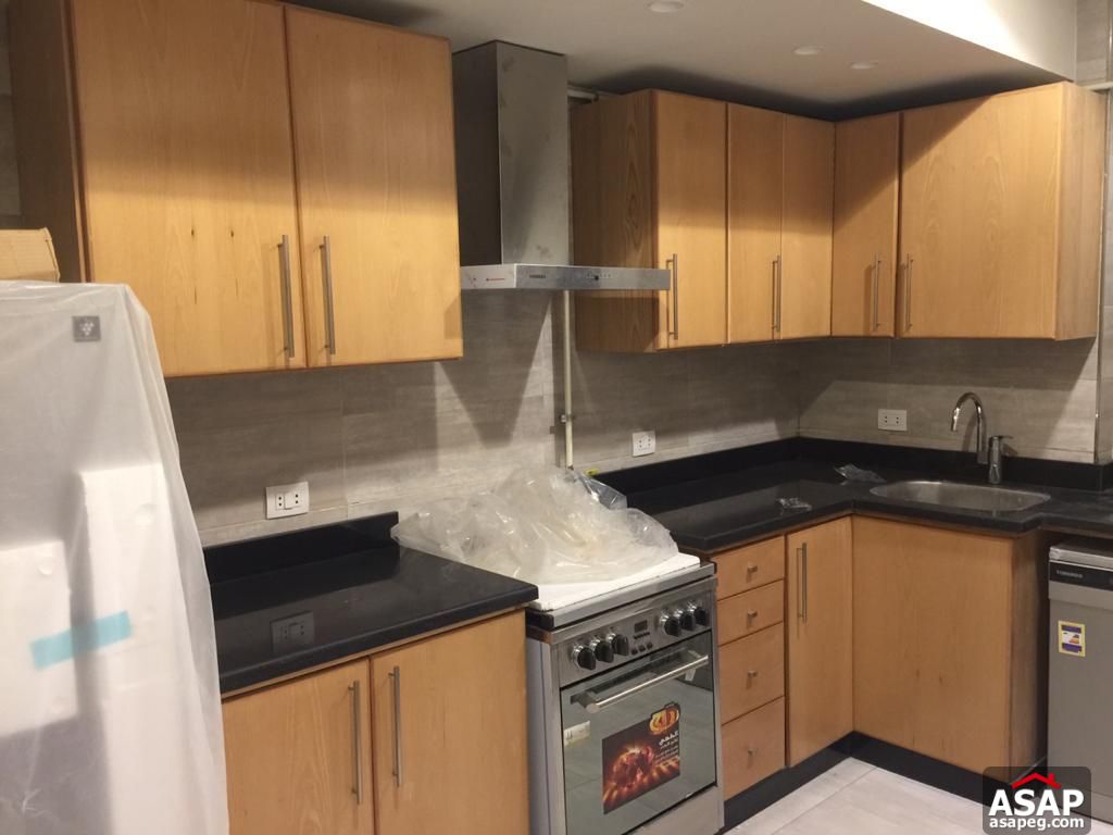 Apartment for Rent in Zamalek Apartment for Rent in Zamalek