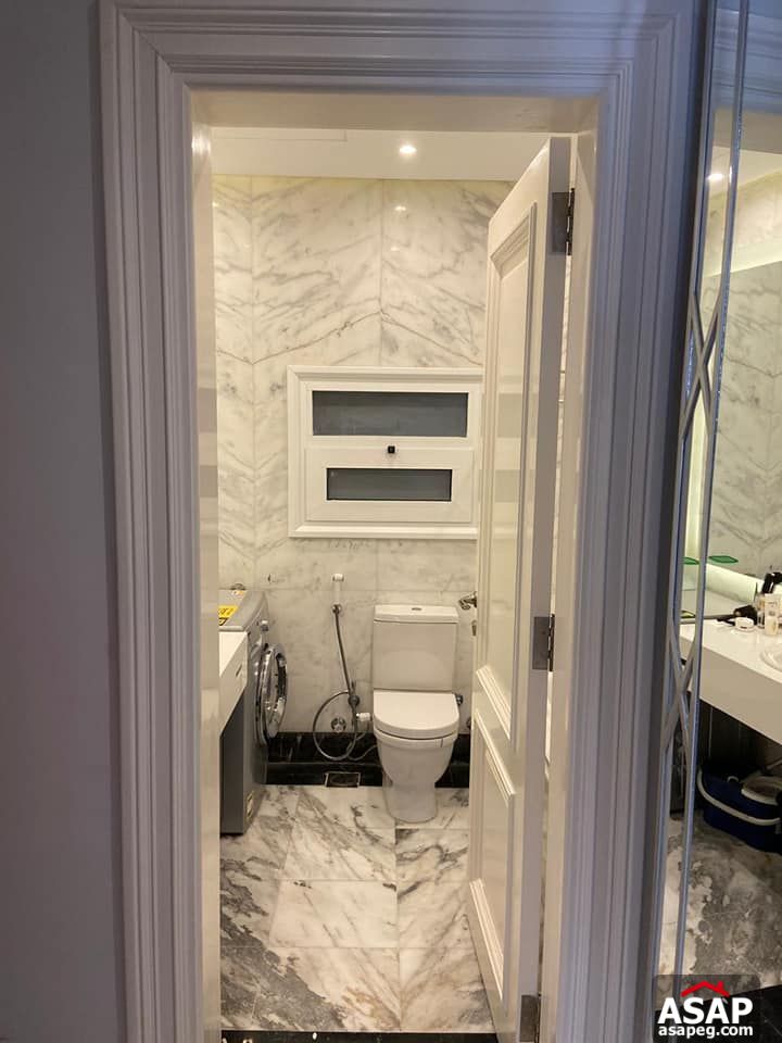 Apartment for Rent in Zamalek Apartment for Rent in Zamalek