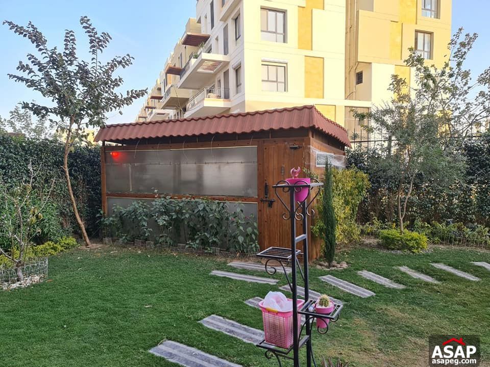 Duplex with Garden for Rent in Eastown