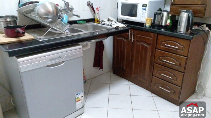 Apartment for Rent in Zamalek