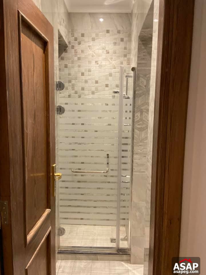 Apartment for Rent in Zamalek Apartment for Rent in Zamalek