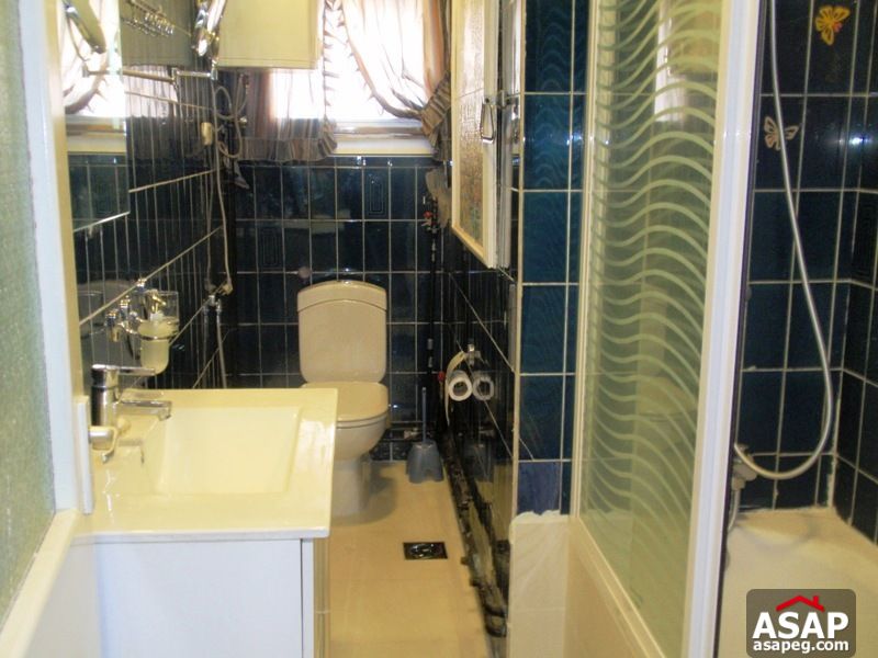 Apartment fot Rent in Zamalek