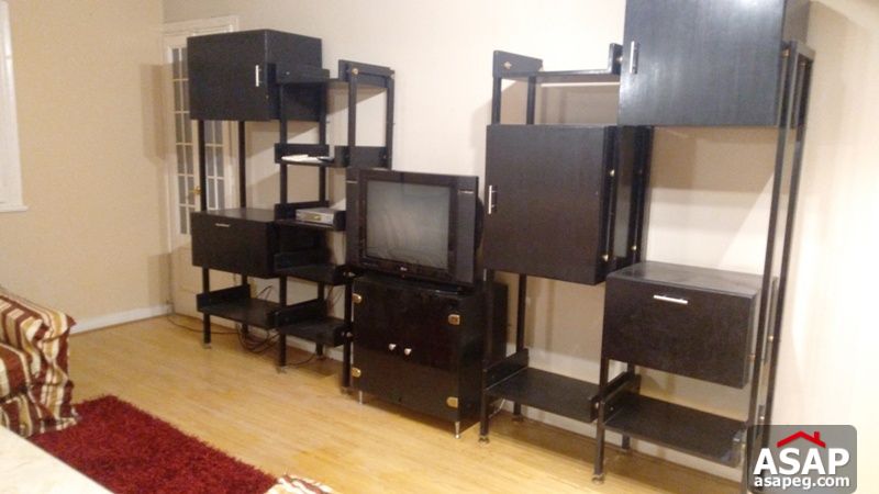 Modern Furnished Apartment for Rent in Mohandiseen Modern Furnished Apartment for Rent in Mohandiseen