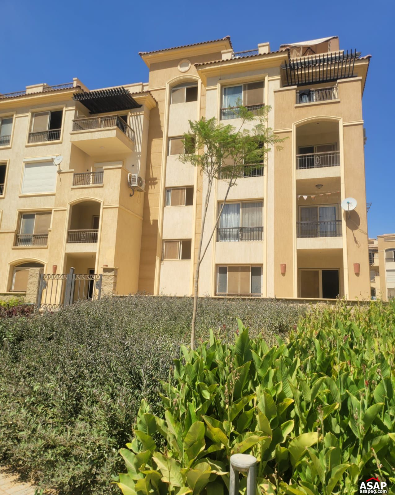 Apartment for Sale in Stone Residence Apartment for Sale in Stone Residence