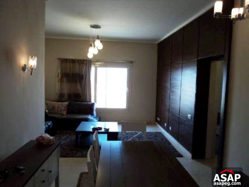 Furnished Studio for Rent in the Village - New Cairo Furnished Studio for Rent in the Village - New Cairo