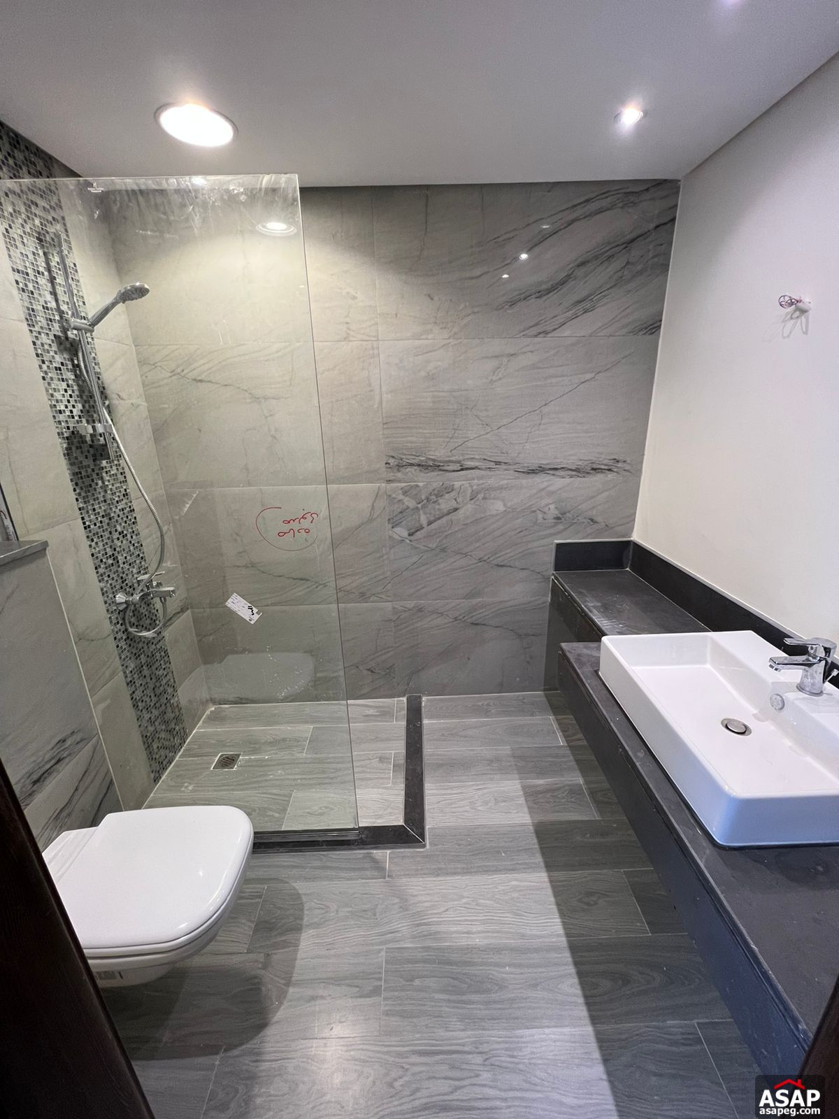 Penthouse for Rent in Lake View Residence Penthouse for Rent in Lake View Residence