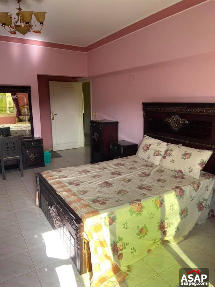 Flat with Nile View for Rent in Zamalek Flat with Nile View for Rent in Zamalek