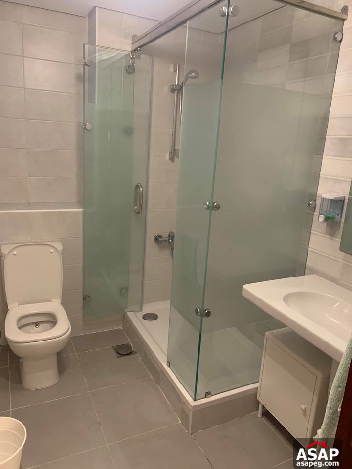 For Rent SPECIAL Furnished Apartment in Cairo Festival