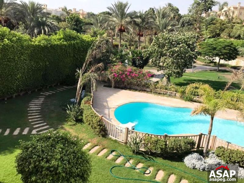 Villa with Swimming Pool for Rent in New Cairo Villa with Swimming Pool for Rent in New Cairo