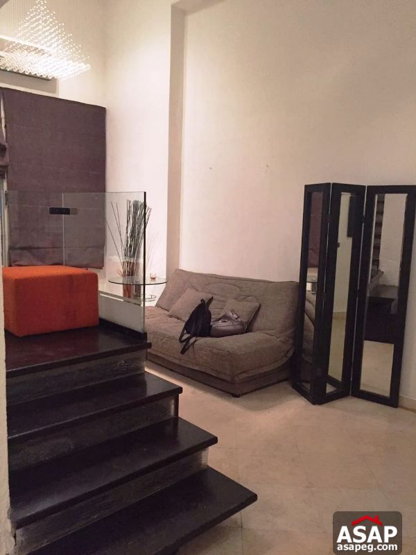 Apartment for Rent in Zamalek Apartment for Rent in Zamalek
