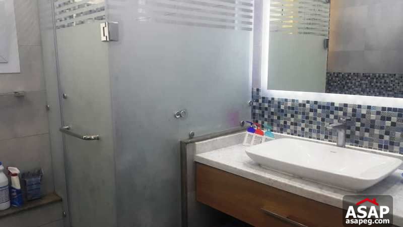 Apartment for Rent New Cairo in Midtown