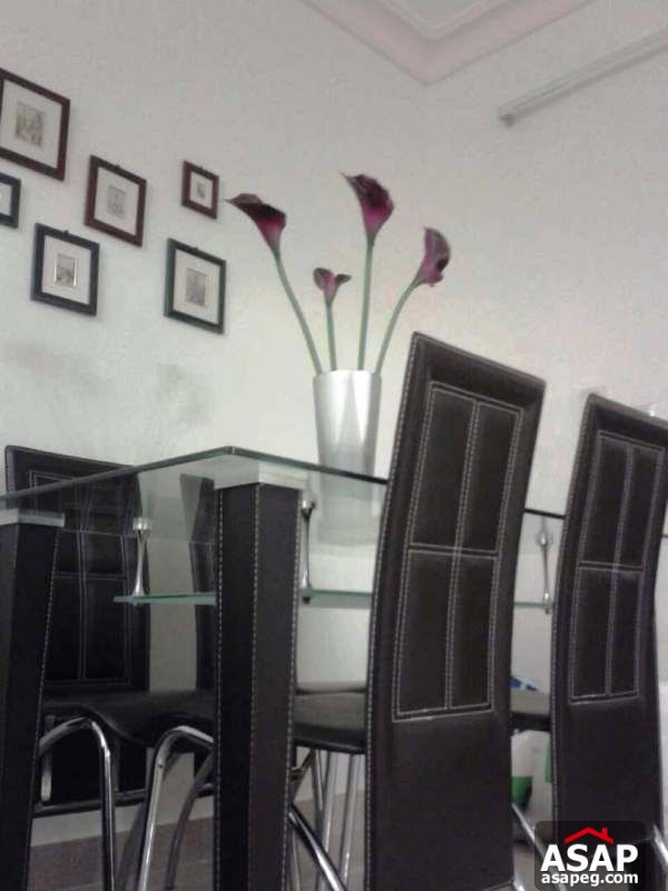 Apartment with Garden for Rent in Rehab Apartment with Garden for Rent in Rehab