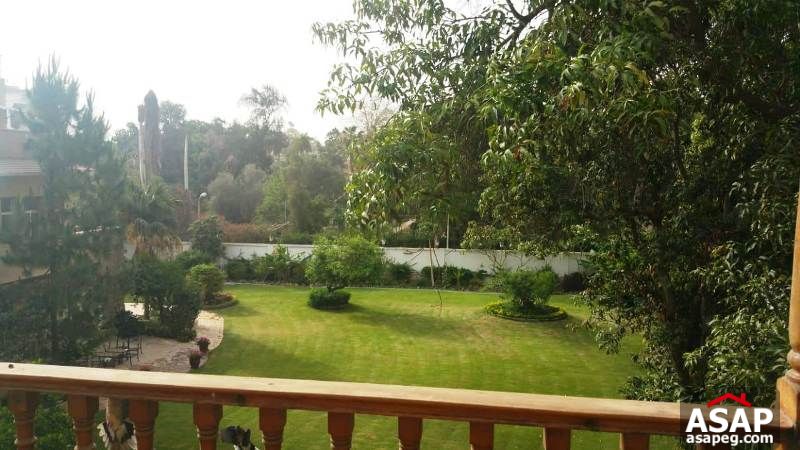 Apartment for Rent in Sarayat Maadi Apartment for Rent in Sarayat Maadi