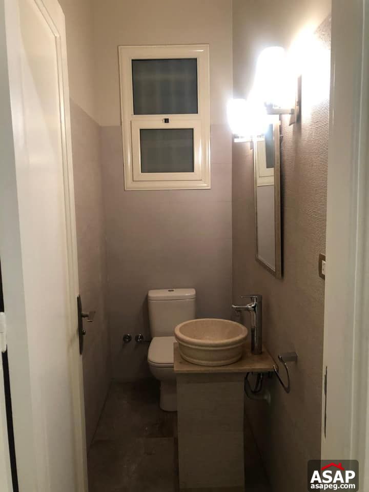 Apartment for Rent in Zamalek Apartment for Rent in Zamalek