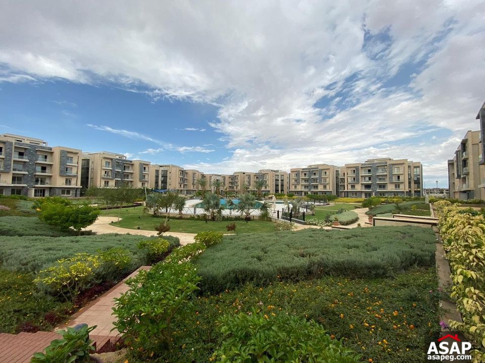 Ground Floor for Rent in Galleria Moon Valley Ground Floor for Rent in Galleria Moon Valley